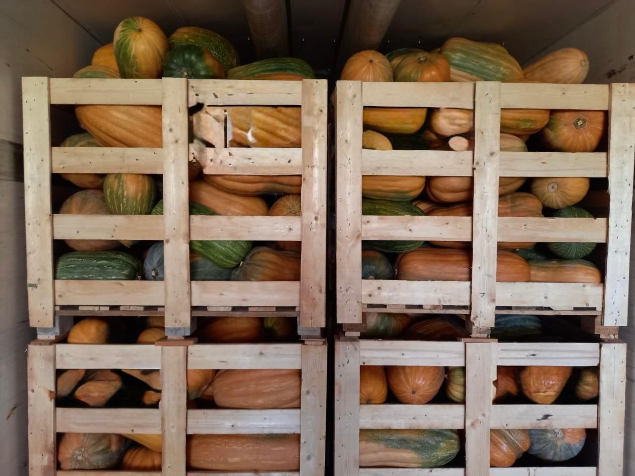 whatsapp image 2025 11 16 at 6.56.48 pm (1)