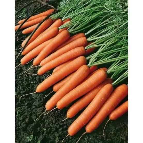 whatsapp image 2025 11 16 at 6.56.48 pm (14)