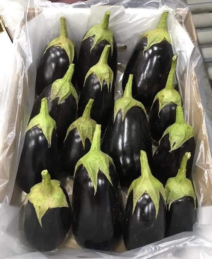 whatsapp image 2025 11 16 at 6.56.48 pm (19)