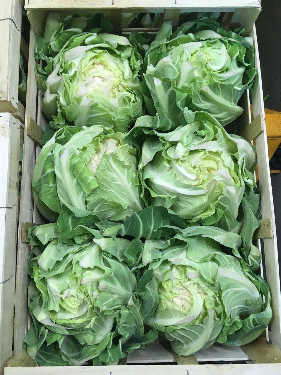 whatsapp image 2025 11 16 at 6.56.48 pm