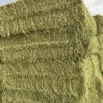 Egyptian Alfalfa Hay
